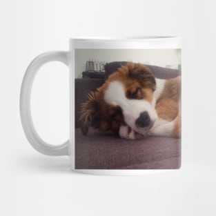 Charly Australian Shepherd Mix Mug